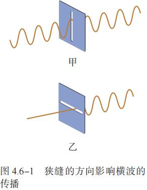  4.6-1 狭缝的方向影响横波的 传播