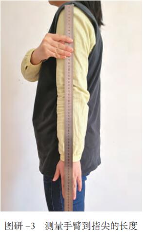 图研 -3 测量手臂到指尖的长度