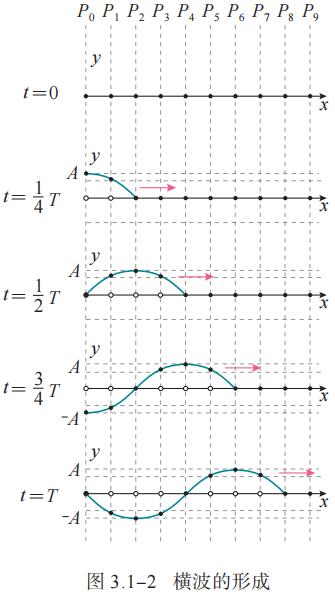 图 3.1-2 横波的形成