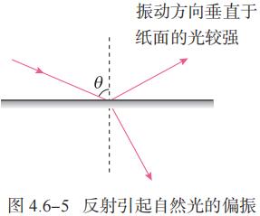 图 4.6-5 反射引起自然光的偏振